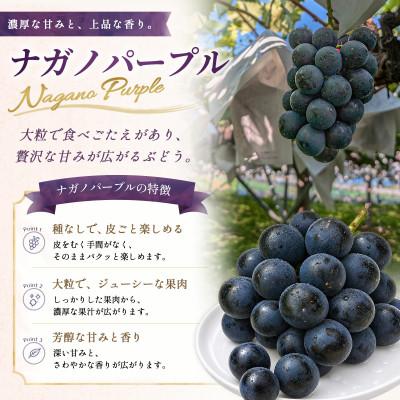 ふるさと納税 高山村 長野県産 ナガノパープルとシャインマスカット 計1.1kg(2房〜3房)2026年発送【期間限定】 |  | 01