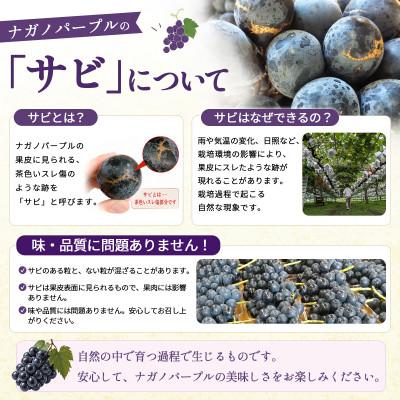 ふるさと納税 高山村 長野県産 ナガノパープルとシャインマスカット 計1.1kg(2房〜3房)2026年発送【期間限定】 |  | 03