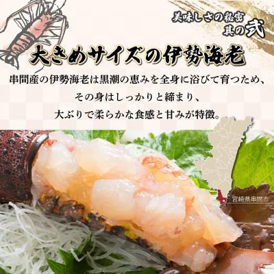 ふるさと納税 串間市 宮崎県串間産 伊勢エビ(計約800g・2匹) |  | 02