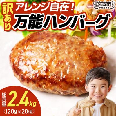 ふるさと納税 宮古市 【訳あり】万能ハンバーグ2.4kg(120g×20個)　冷凍のまま10分で焼ける | 