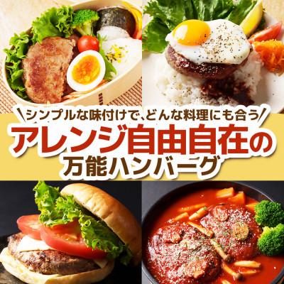 ふるさと納税 宮古市 【訳あり】万能ハンバーグ2.4kg(120g×20個)　冷凍のまま10分で焼ける |  | 01