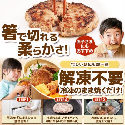 ふるさと納税 宮古市 【訳あり】万能ハンバーグ2.4kg(120g×20個)　冷凍のまま10分で焼ける |  | 02
