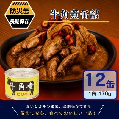 ふるさと納税 泉佐野市 牛角煮缶詰 12缶セット 牛カルビ/牛バラ肉(非常食・長期保存) | 