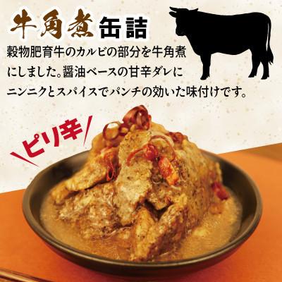 ふるさと納税 泉佐野市 牛角煮缶詰 12缶セット 牛カルビ/牛バラ肉(非常食・長期保存) |  | 01