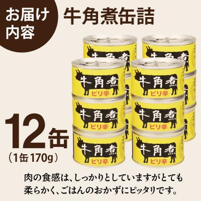 ふるさと納税 泉佐野市 牛角煮缶詰 12缶セット 牛カルビ/牛バラ肉(非常食・長期保存) |  | 03