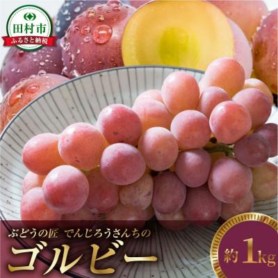 ふるさと納税 田村市 [2026年発送]ゴルビー 約1kg