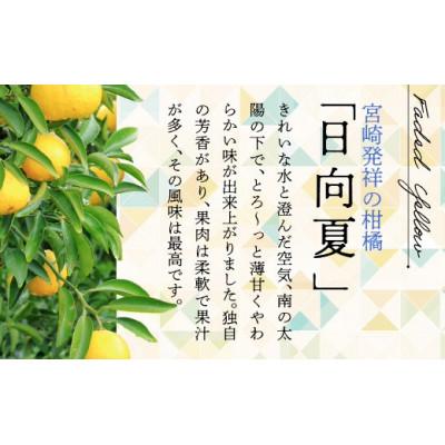 ふるさと納税 綾町 日向夏&amp;紅日向夏ミックス(種が少ない)2.5kg×2箱