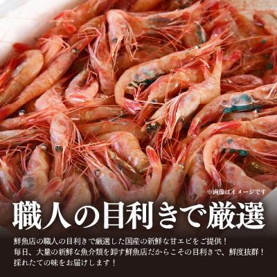ふるさと納税 あわら市 国産天然甘えびのむき身400g(200g × 2パック)(冷凍真空パック) |  | 01