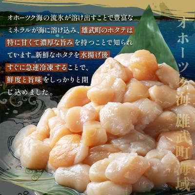 ふるさと納税 雄武町 ほたて貝柱(BCフレーク)2kg【1233605】 |  | 01