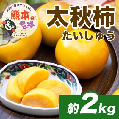 ふるさと納税 宇城市 熊本県 宇城市産 新食感 甘い 高級柿 太秋柿(たいしゅうがき) 約2kg(4〜8玉)(宇城市)