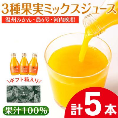 ふるさと納税 出水市 3種果実ミックスジュース(温州みかん・農6号・河内晩柑)5本セット_I990-C