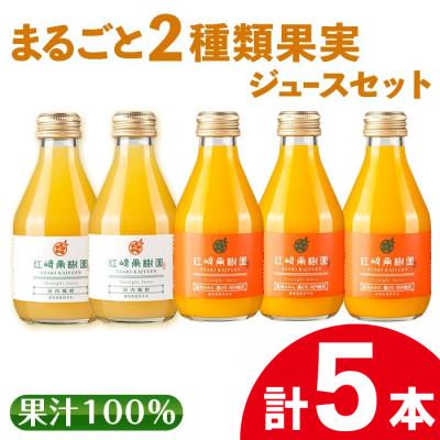 ふるさと納税 出水市 まるごと2種類果実ジュース5本セット_I990-D