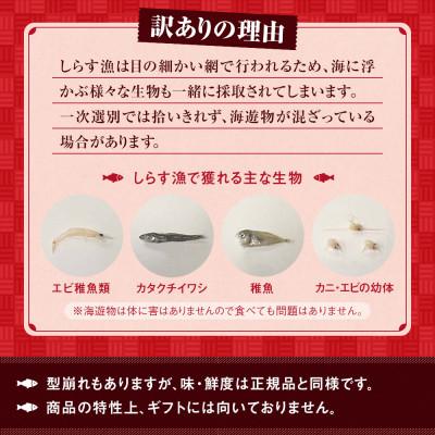 ふるさと納税 南知多町 しらす干し 1kg 1箱 訳あり #通年# |  | 03