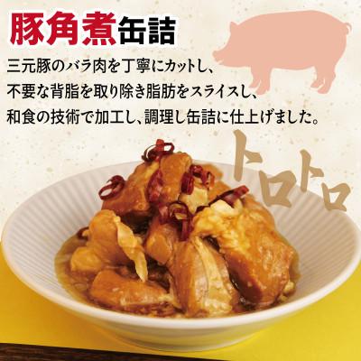 ふるさと納税 泉佐野市 豚角煮缶詰 12缶セット 三元豚・豚バラ肉(非常食・長期保存) |  | 01