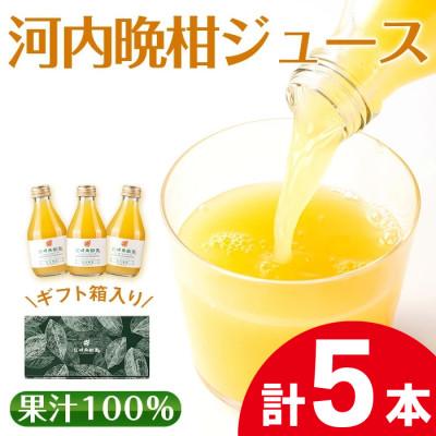ふるさと納税 出水市 河内晩柑ジュース5本セット_I990-A