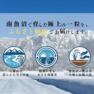 ふるさと納税 南魚沼市 【新米】令和8年産　南魚沼産コシヒカリ無洗米5kg |  | 03