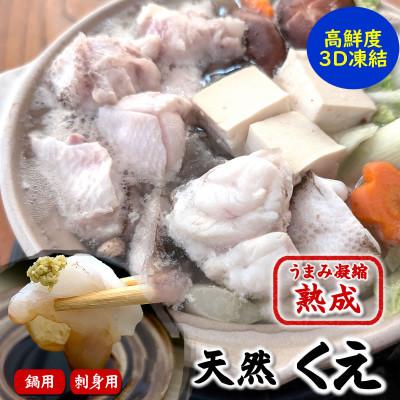 ふるさと納税 新温泉町 幻の高級魚 天然本クエ鍋用 500g(2-3人前)+お刺身 熟成 旨味凝縮 高鮮度3D凍結 大型使用