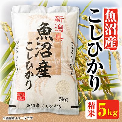 ふるさと納税 小千谷市 令和8年産魚沼産コシヒカリ 5kg