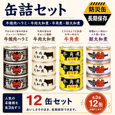 ふるさと納税 泉佐野市 缶詰4種★ 12缶セット(牛焼肉ハラミ缶詰/牛肉大和煮缶詰/牛角煮缶詰/鯨大和煮缶詰) | 