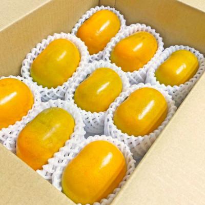 ふるさと納税 紀の川市 たねなし柿 秀品 【和歌山県産】約1kg 甘くとろける秋の味覚! |  | 01