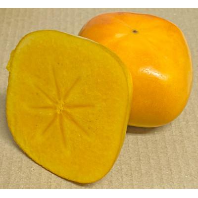 ふるさと納税 紀の川市 たねなし柿 秀品 【和歌山県産】約1kg 甘くとろける秋の味覚! |  | 02