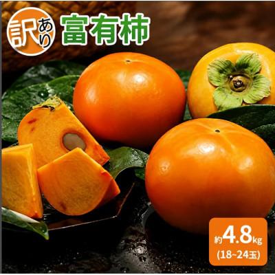 ふるさと納税 朝倉市 【訳あり】富有柿 約4.8kg(18〜24玉)【2026年11月下旬より発送予定】 | 