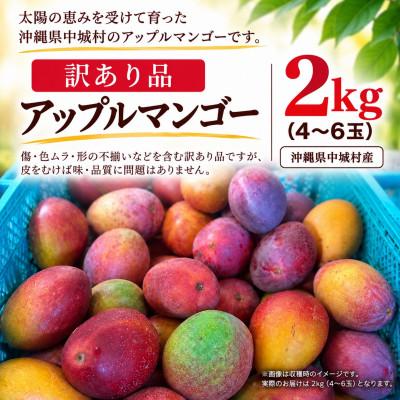 ふるさと納税 中城村 【2027年6月下旬から順次発送】マルトウマンゴー