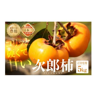 ふるさと納税 豊橋市 豊橋石巻産次郎柿(ご自宅用不揃い)5kg(15〜25玉)