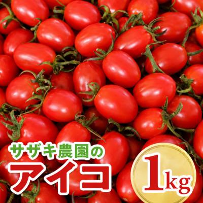 ふるさと納税 玉名市 サザキ農園のアイコ1kg
