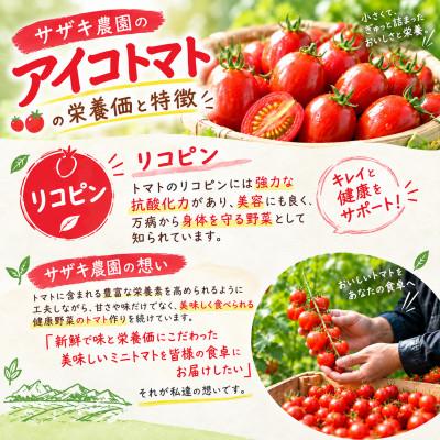 ふるさと納税 玉名市 サザキ農園のアイコ1kg |  | 02