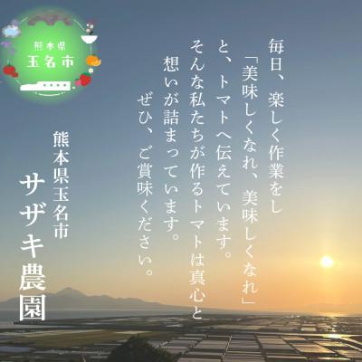 ふるさと納税 玉名市 サザキ農園のアイコ1kg |  | 03