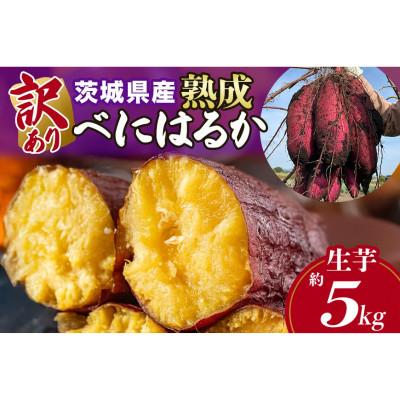 ふるさと納税 那珂市 [訳あり]茨城県産 熟成紅はるか さつまいも 約5kg