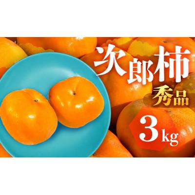 ふるさと納税 豊橋市 FarmSORAの次郎柿 秀品3kg