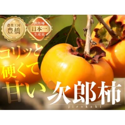 ふるさと納税 豊橋市 豊橋石巻産次郎柿(秀品大玉)3kg(10〜15玉)