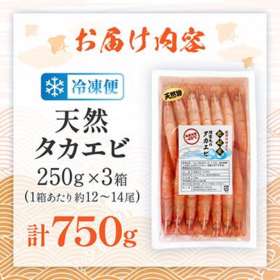 ふるさと納税 枕崎市 【薩摩甘エビ】大きいサイズ 天然タカエビ 750g AG557 |  | 03