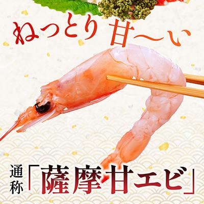 ふるさと納税 枕崎市 【薩摩の甘エビ】大きいサイズ 天然タカエビ 1kg BA557 |  | 02