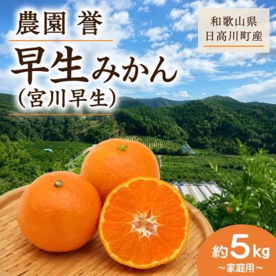 ふるさと納税 日高川町 [2026年12月発送]温州みかん 宮川早生 約5kg(3S〜Sサイズ中心)/和歌山県日高川町産