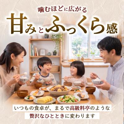 ふるさと納税 守谷市 【令和8年産】茨城コシヒカリ10kg【精米・無洗米】美味しい米・精米したてのお米!旨味詰まる極上の米 |  | 01