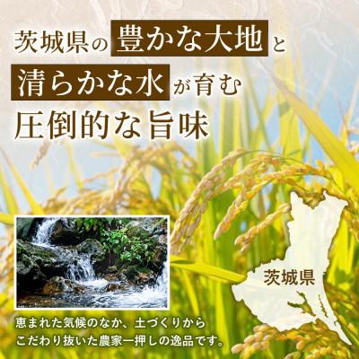 ふるさと納税 守谷市 【令和8年産】茨城あきたこまち10kg【精米・無洗米】研がずに炊ける便利なお米 美味しいお米 時短 |  | 02
