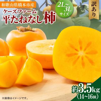 ふるさと納税 橋本市 柿[2026年度発送分]ケーズファーム (訳あり) 平たねなし柿 約3.5kg