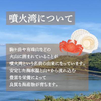ふるさと納税 豊浦町 冷凍ボタンエビ 中サイズ 計800g(34〜40尾) 北海道 噴火湾産 |  | 03