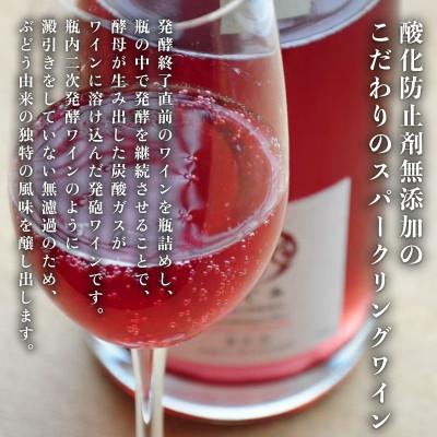 ふるさと納税 京都府 【丹波ワイン】スパークリングワイン(白・ロゼ) 飲み比べ 750ml×2本 贈答用にもおすすめのお酒 |  | 03