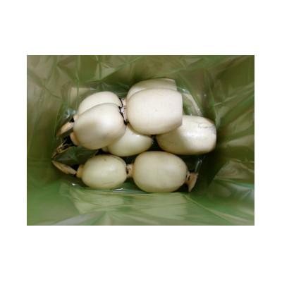 ふるさと納税 稲敷市 ひかりれんこん　1kg(3本〜4本)産地直送(化粧箱鮮度保持袋使用) |  | 01