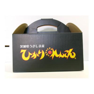 ふるさと納税 稲敷市 ひかりれんこん　1kg(3本〜4本)産地直送(化粧箱鮮度保持袋使用) |  | 02
