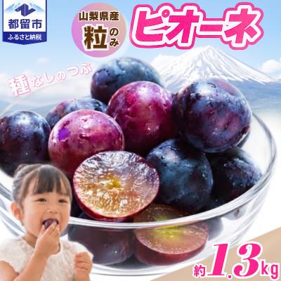ふるさと納税 都留市 【2027年発送】ピオーネ　粒(約1.3kg)山梨県産フルーツ | 