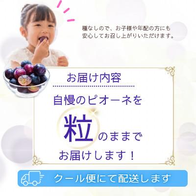 ふるさと納税 都留市 【2027年発送】ピオーネ　粒(約1.3kg)山梨県産フルーツ |  | 01