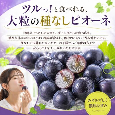 ふるさと納税 都留市 【2027年発送】ピオーネ　粒(約1.3kg)山梨県産フルーツ |  | 03