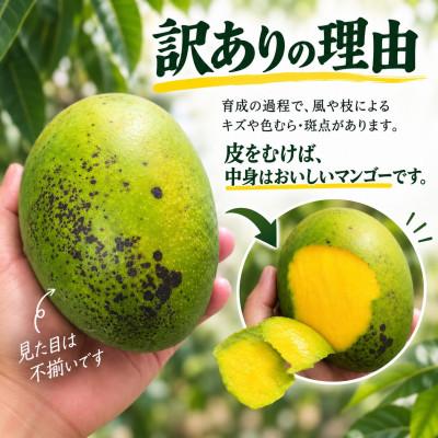 ふるさと納税 与那原町 【2027年8月中旬から順次発送・家庭用】幻の