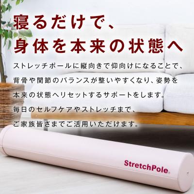 ふるさと納税 泉佐野市 【LPN社製】ストレッチポールEX(ピンクベージュ) |  | 02