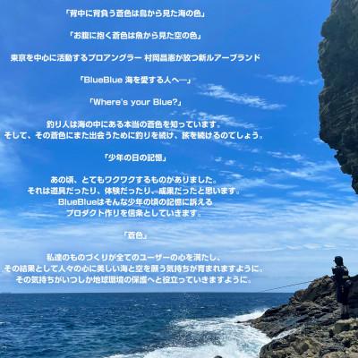 ふるさと納税 館山市 ブルーブルールアーGaboz!!!150 ジンベイザメ ふるさと納税限定カラー |  | 03